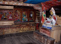 BDSC_0167