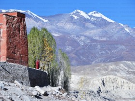 07_Lo_Monthang_Mustang