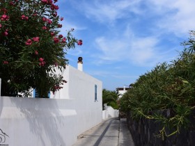 DSC_4891