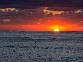 DSC_3182