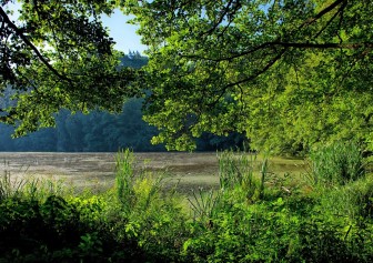 19_DSC_2797