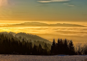 28_DSC_9071