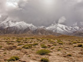01_DSC_8413