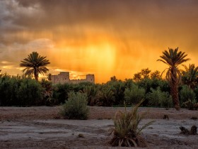 10_DSC_9243