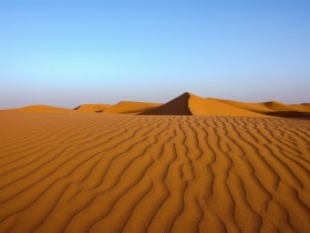 12_DSC_9496