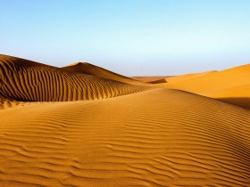 13_DSC_9519