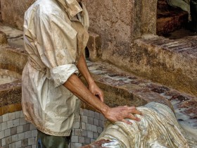 20_DSC_0437