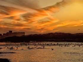 24_EDSC_1516