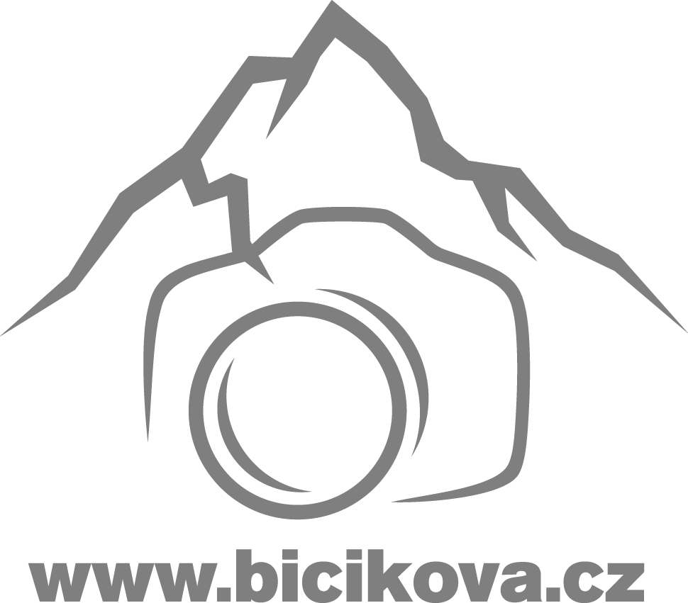 Logo Pavla Bičíková